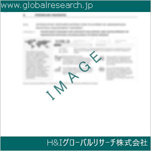 グローバルリサーチ調査資料のイメージ